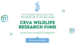 Visuel Ceva WRF Instagram