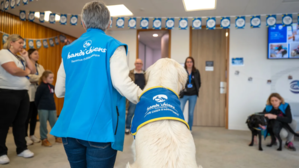 Partenariats - Handichiens.jpg