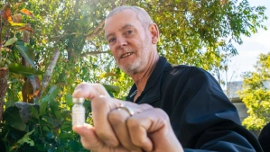 World-first koala chlamydia vaccine