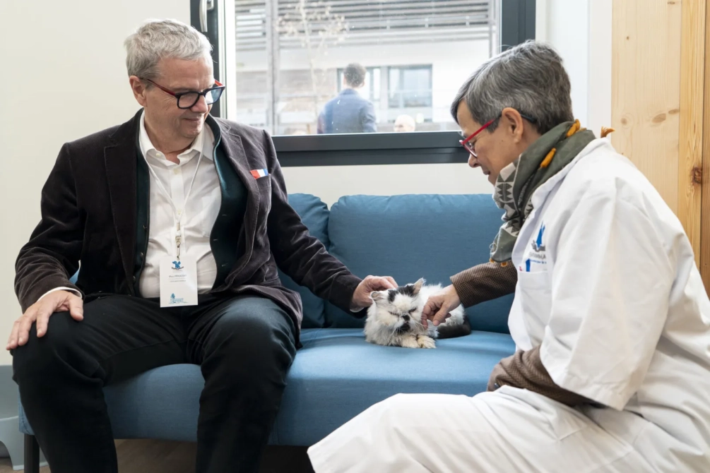 Marc Prikazsky, Chat et Ehpanimal