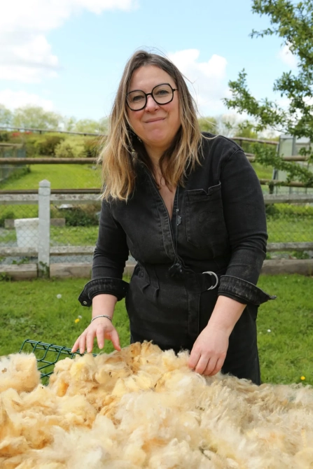 Normandie sous les Pommiers