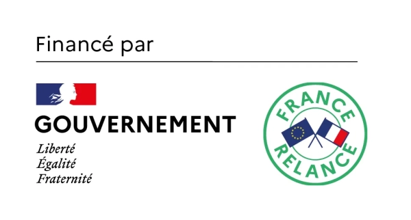 Plan de Relance du gouvernement Fran&ccedil;ais