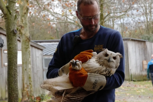 Soigneur du zoo de beauvale et un hibou