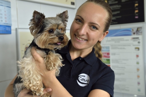 Employ&eacute;e Ceva tenant un Yorkshire Terrier dans ses bras
