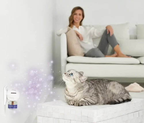 Chat d&eacute;tendu pr&egrave;s d'un diffuseur FELIWAY avec sa propri&eacute;taire